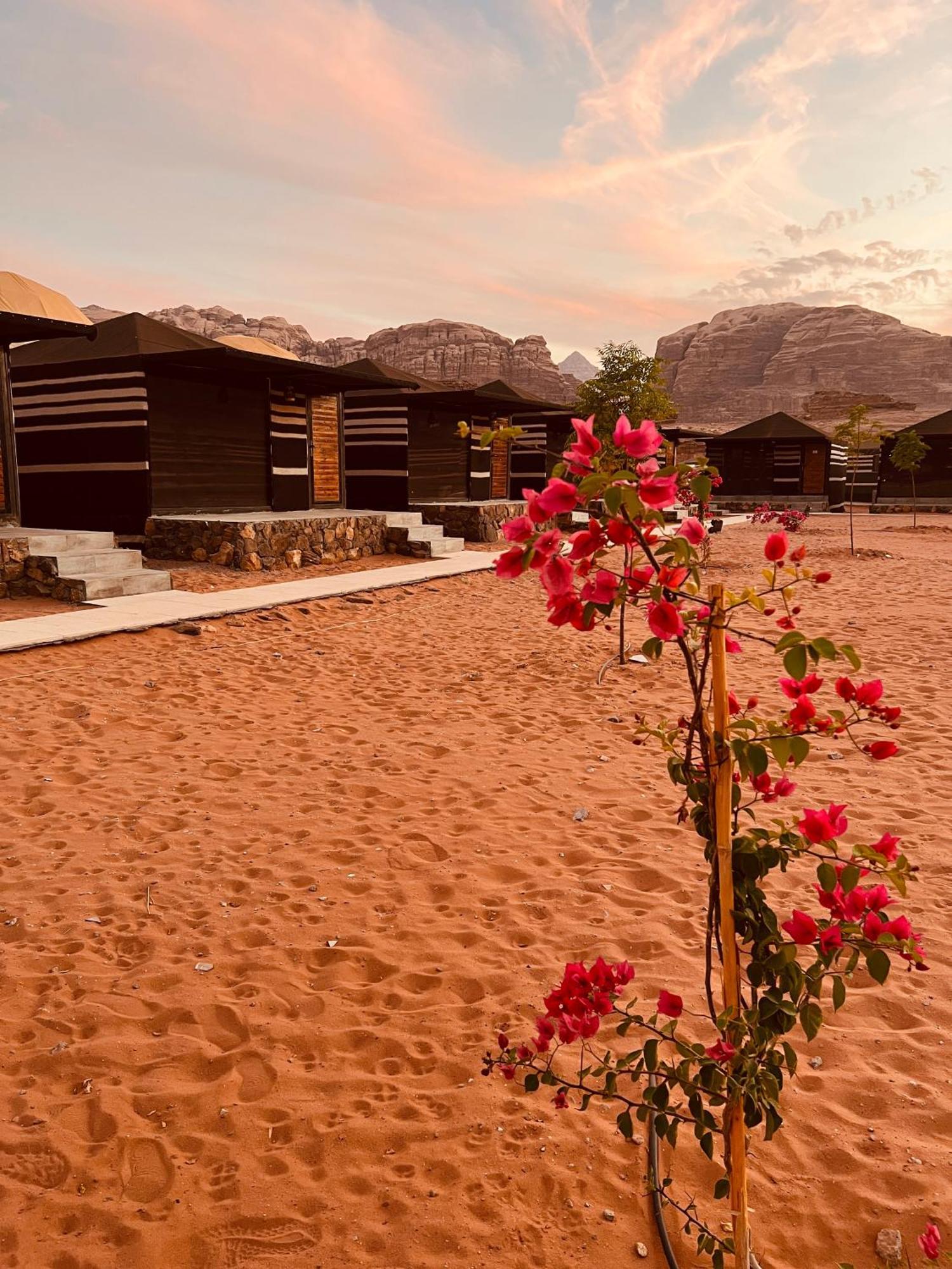 Revan Rum Luxury Camp 瓦迪拉姆 外观 照片