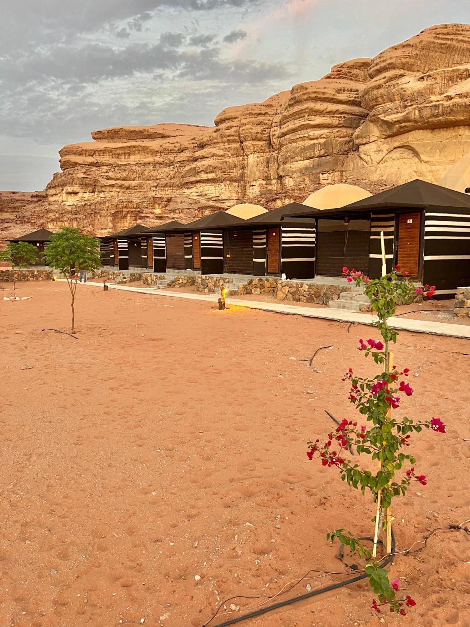 Revan Rum Luxury Camp 瓦迪拉姆 外观 照片