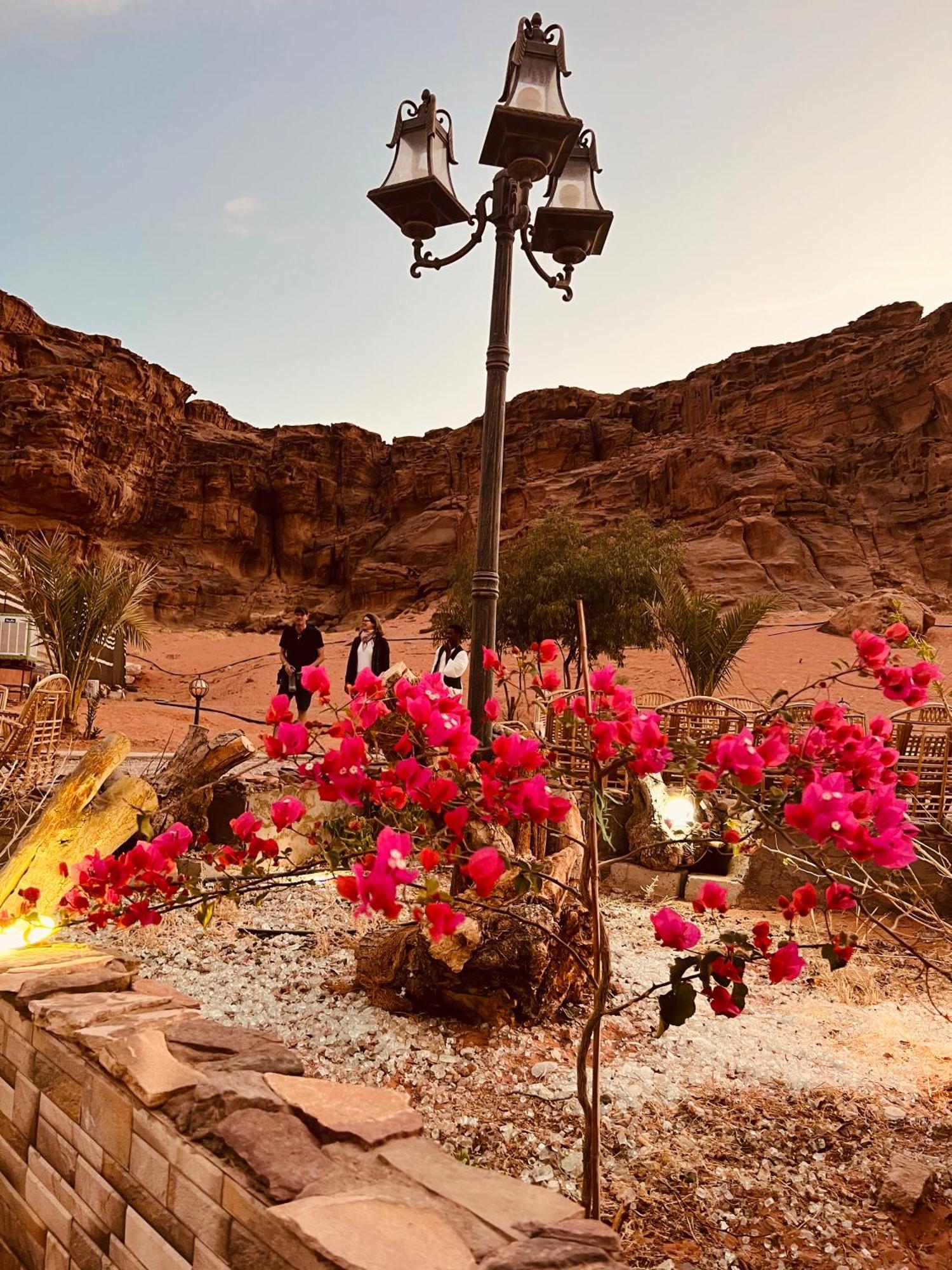 Revan Rum Luxury Camp 瓦迪拉姆 外观 照片